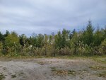 12102025_Samsung Galaxy Note 20 Ultra_31 round to Hokkaido_Biei_Aoi Ike00007