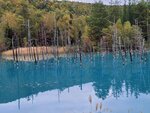 12102025_Samsung Galaxy Note 20 Ultra_31 round to Hokkaido_Biei_Aoi Ike00012