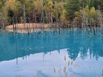 12102025_Samsung Galaxy Note 20 Ultra_31 round to Hokkaido_Biei_Aoi Ike00013