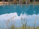 12102025_Samsung Galaxy Note 20 Ultra_31 round to Hokkaido_Biei_Aoi Ike00016
