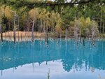 12102025_Samsung Galaxy Note 20 Ultra_31 round to Hokkaido_Biei_Aoi Ike00019