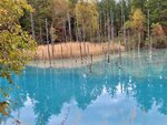12102025_Samsung Galaxy Note 20 Ultra_31 round to Hokkaido_Biei_Aoi Ike00064