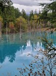 12102025_Samsung Galaxy Note 20 Ultra_31 round to Hokkaido_Biei_Aoi Ike00065