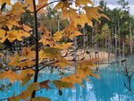 12102025_Samsung Galaxy Note 20 Ultra_31 round to Hokkaido_Biei_Aoi Ike00068