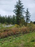 12102025_Samsung Galaxy Note 20 Ultra_31 round to Hokkaido_Biei_Aoi Ike00081