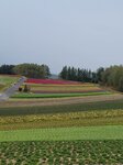 12102025_Samsung Galaxy Note 20 Ultra_31 round to Hokkaido_Biei_Shikisai no Oka00076