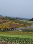 12102025_Samsung Galaxy Note 20 Ultra_31 round to Hokkaido_Biei_Shikisai no Oka00077
