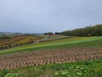 12102025_Samsung Galaxy Note 20 Ultra_31 round to Hokkaido_Biei_Shikisai no Oka00078