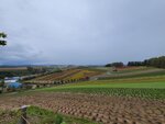 12102025_Samsung Galaxy Note 20 Ultra_31 round to Hokkaido_Biei_Shikisai no Oka00079