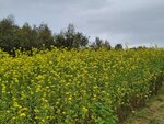 12102025_Samsung Galaxy Note 20 Ultra_31 round to Hokkaido_Biei_Shikisai no Oka00087