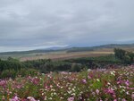 12102025_Samsung Galaxy Note 20 Ultra_31 round to Hokkaido_Biei_Shikisai no Oka00090
