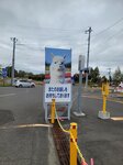 12102025_Samsung Galaxy Note 20 Ultra_31 round to Hokkaido_Biei_Shikisai no Oka00107