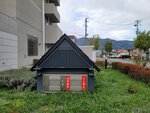 12102025_Samsung Galaxy Note 20 Ultra_31 round to Hokkaido_Furano Morning00154