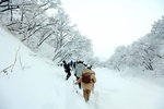 13022017_Hokkaido Tour 2017_Day Five_Oshinkoshin Fall 00033