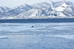 13022019_Nikon D5300_20 Round to Hokkaido_Rausu Nature Sightseeing Voyage00158