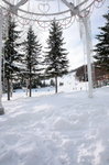 13012009_Hokkaido Tour_Rusuitsu Skiing Ring00004
