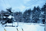 13012009_Hokkaido Tour_Snow White and Sky Blue00029