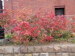 13102025_Samsung Galaxy Note 20 Ultra_31 round to Hokkaido_Otaru Unga00082