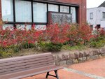 13102025_Samsung Galaxy Note 20 Ultra_31 round to Hokkaido_Otaru Unga00083