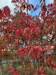13102025_Samsung Galaxy Note 20 Ultra_31 round to Hokkaido_Otaru Unga00086