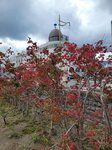13102025_Samsung Galaxy Note 20 Ultra_31 round to Hokkaido_Otaru Unga00087
