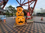 13102025_Samsung Galaxy Note 20 Ultra_31 round to Hokkaido_Otori Koen Television Tower00031