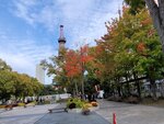 13102025_Samsung Galaxy Note 20 Ultra_31 round to Hokkaido_Otori Koen Television Tower00041
