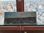 13102025_Samsung Galaxy Note 20 Ultra_31 round to Hokkaido_Otori Koen Television Tower_Panorama View00063