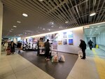 13102025_Samsung Galaxy Note 20 Ultra_31 round to Hokkaido_Sapporo Chigakai00008