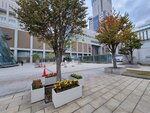 13102025_Samsung Galaxy Note 20 Ultra_31 round to Hokkaido_Sapporo Morning_Sapporo Eki00078