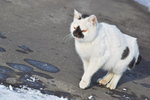 14022019_Nikon D5300_20 Round to Hokkaido_Tsurumidai00050