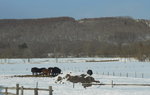 14022019_Nikon D5300_20 Round to Hokkaido_Way back to Obihiro Hokkaido Hotel00023