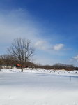 14022019_Samsung Smartphone Galaxy S7 Edge_20 Round to Hokkaido_Tsurumidai00004