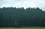 14072019_Nikon D5300_21st round to Hokkaido_Shin-Hakodate Hokoten Station_View from Train00004