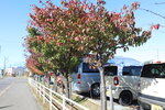 14102025_Canon EOS 5Ds_31 round to Hokkaido_Kitahiroshima Mitsui Outlet Park00013