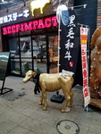 15022019_Samsung Smartphone Galaxy S7 Edge_20 Round to Hokkaido_Suzukino00017