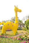 15032018_Hong Kong Flower Show 2018_The Veune00001