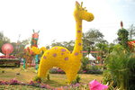 15032018_Hong Kong Flower Show 2018_The Veune00006