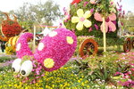 15032018_Hong Kong Flower Show 2018_The Veune00014