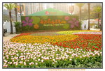 15032018_Hong Kong Flower Show 2018_The Veune00018