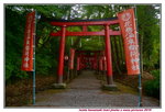 15072019_Nikon D800_21st round to Hokkaido_Iwate Hanamaki Onsen_Inari Jinsha00003