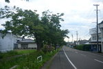 15072019_Nikon D800_21st round to Hokkaido_Iwate Hanamakishi00022