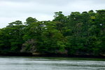 16072019_Nikon D800_21st round to Hokkaido_Matsushima Cruise00081