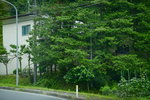 16072019_Nikon D800_21st round to Hokkaido_Way to Matsushima00009