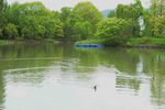 16052015_D800_16th Tour to Hokkaido_中島公園00131