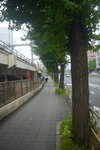 17072019_Nikon D800_21st round to Hokkaido_An Ordinary Wednesday Morning in Shinakawa00062