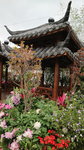 19032018_Canon EOS M3_Hong Kong Flower Show 2018_The Venue00006