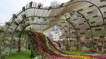 19032018_Canon EOS M3_Hong Kong Flower Show 2018_The Venue00015
