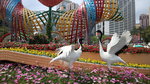 19032018_Canon EOS M3_Hong Kong Flower Show 2018_The Venue00026