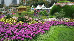 19032018_Canon EOS M3_Hong Kong Flower Show 2018_The Venue00035